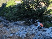 Scendendo verso Fliskounias