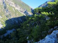 Fliskounias dall'alto del colletto