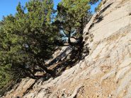 Verso la cresta di separazione con la Gola di Elighia