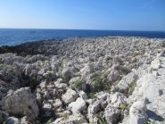 rocce aguzze