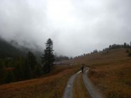Ritorno con la pioggia