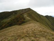 Monega dal Poggio Fearia