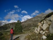 Appare al nostra meta