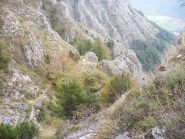 tra sentiero e salti