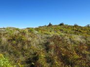 Verso il crinale col pilone