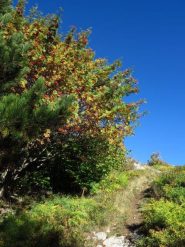 Salendo al Monte della Guardia