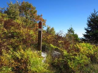 Colori sul sentiero avlm