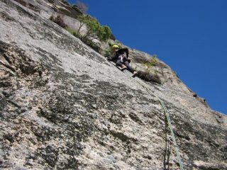 tiro ricoperto di muschio