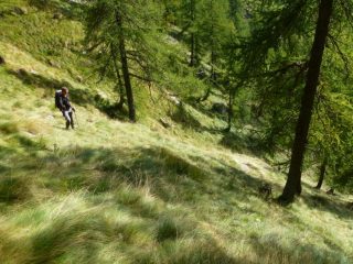 ripidi pendii verso l'alpe peghiò