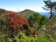 Il Monte Bignone
