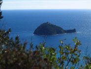 Isola Gallinara