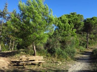 Verso Poggio Brea