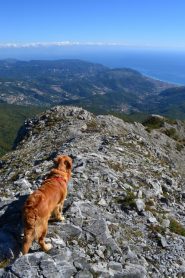 il panoramico crinale di discesa