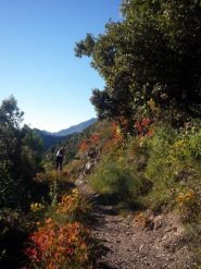 prima parte di salita