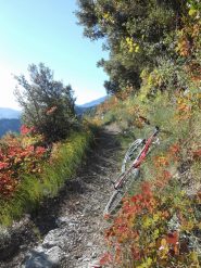 traverso di Viravourgio