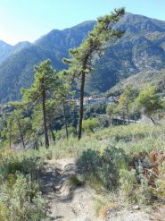 in vista di Olivetta tratto tecnico su terreno scavato