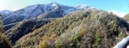 spruzzata bianca sugli alberi ancora verdi