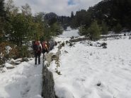 In salita in prossimità dell'alpe Gorta