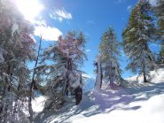 Spettacolo di luce e neve