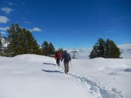 La traccia nel bosco 