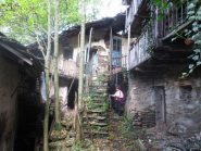 tra i ruderi di Salsa 