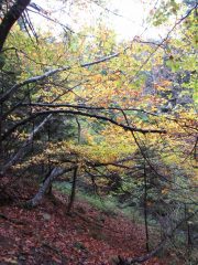 autunno nel vallone del bourcet