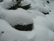 Tanta neve...