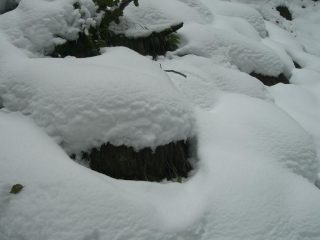 Tanta neve...