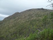 la punta con la cappellina