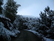 Bella nevicata