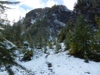 Primo tratto nel bosco