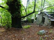 il grande castagno a st jean