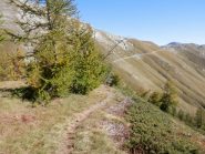 che serpeggia verso l'alto