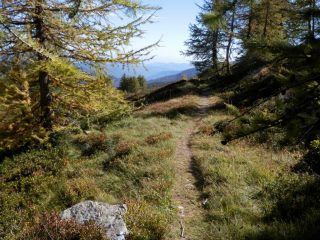 si commenta da solo il sentierino