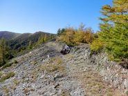 la vecchia via del sale che va su verso la sterrata che arriva dal colle dei signori