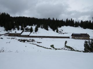 Arrivo alla Malga di Brez