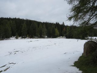 Radura di Palu Longa