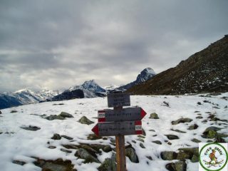 dal colle verso m. lera e torre d'ovarda