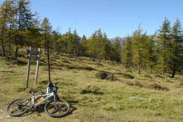 finalmente al colle