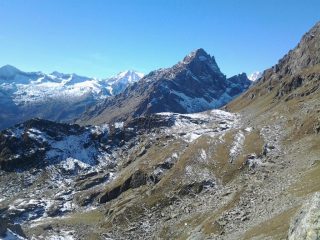 Dal colle di Trione l'Uja di Mondrone tra Bessanese e Croce Rossa