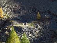 Uno dei bunker vicini al Rifugio Migliorero