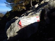 Il bellissimo Sentiero Whymper dedicato al cavallo che per anni portò i viveri al rifugio