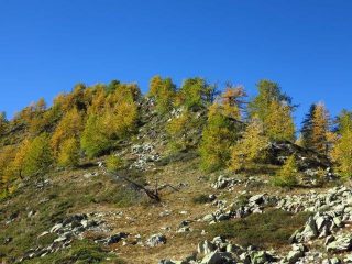 Sul crinale si apre la vista e si addolciscono le pendenze