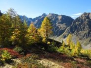 Colori verso il Rifugio Migliorero