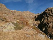 uscendo dal bosco: la Valrossa