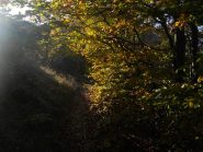 Il sentiero nella prima parte