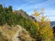 Sul sentiero e la Rocca Bravaria