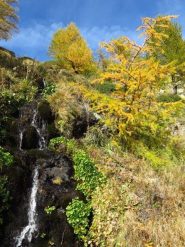Colori autunnali