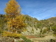 Il lago basso