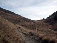 La parte iniziale di discesa, sotto il Colle Neraissa